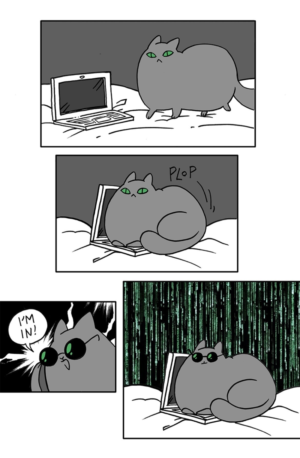 hacker cat