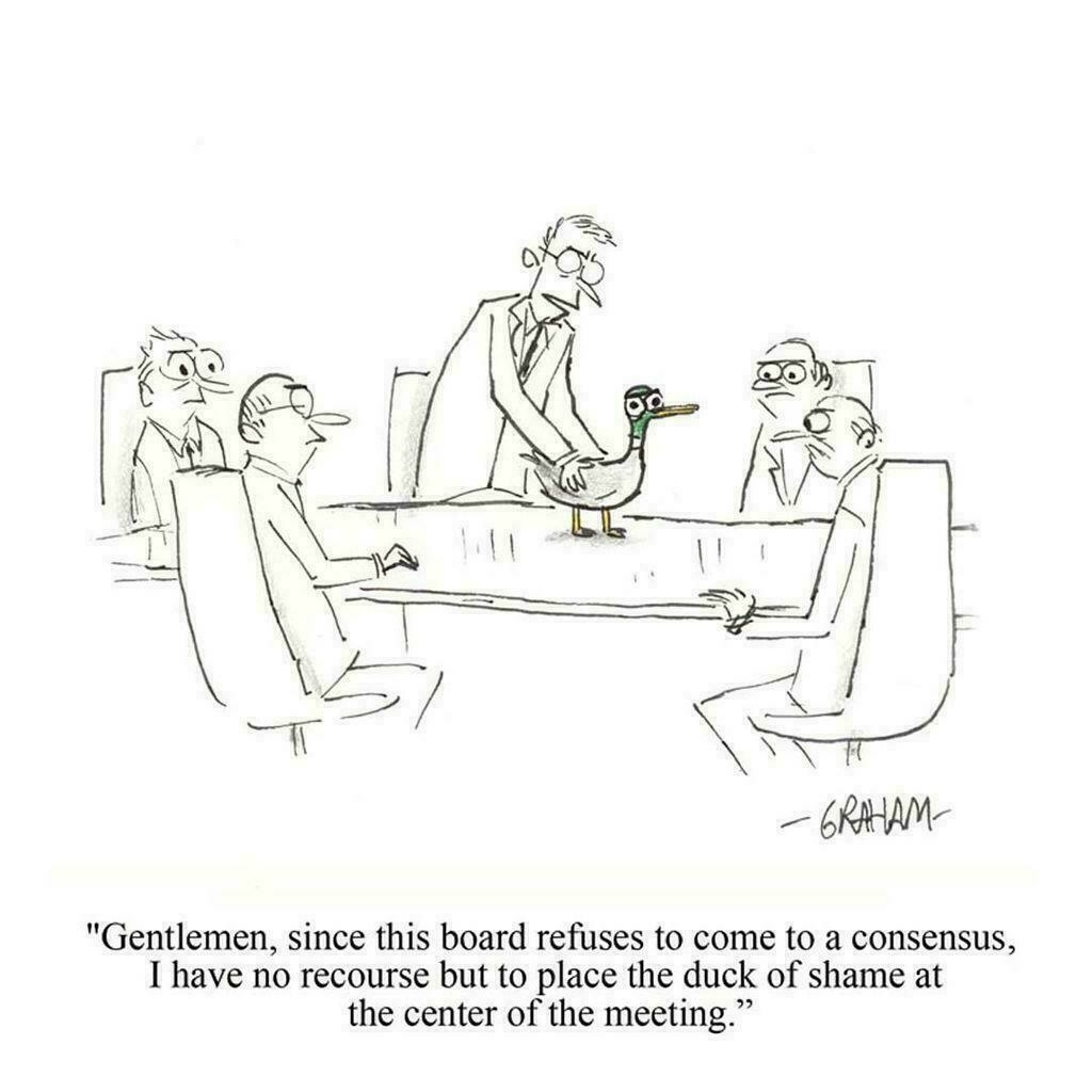 duck of shame